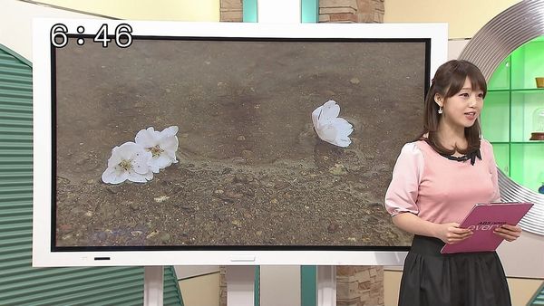 テレビちんこ投稿画像 枚 cfnmバラエティちんこ見てる